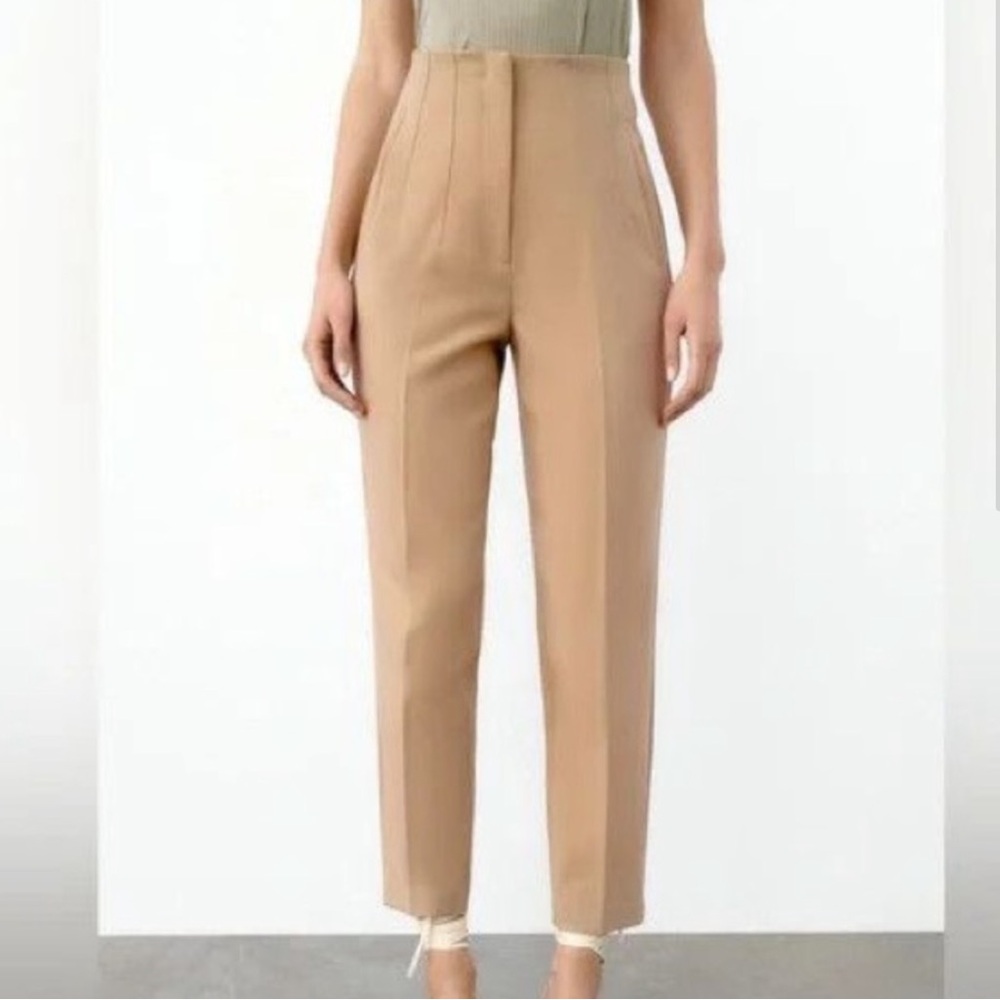 Zara Pleated High Waisted Pants